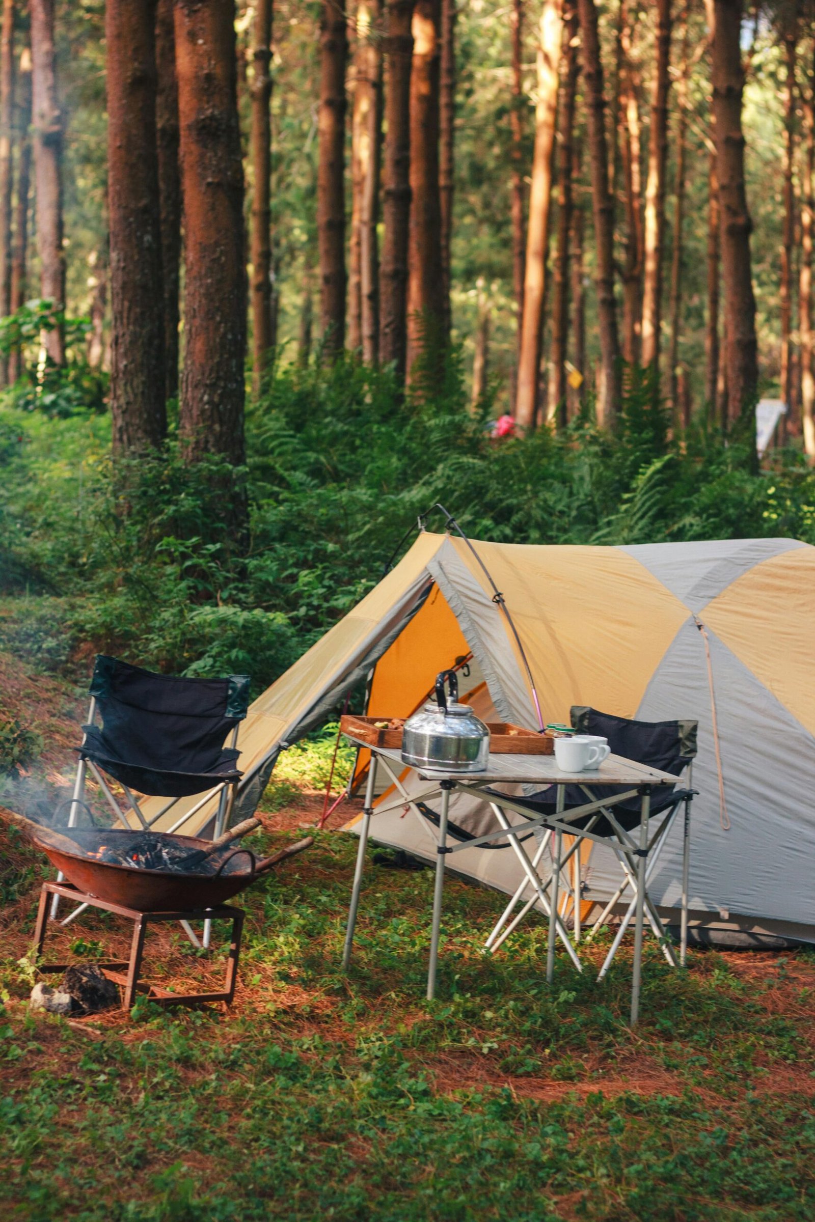 Camping Checklists